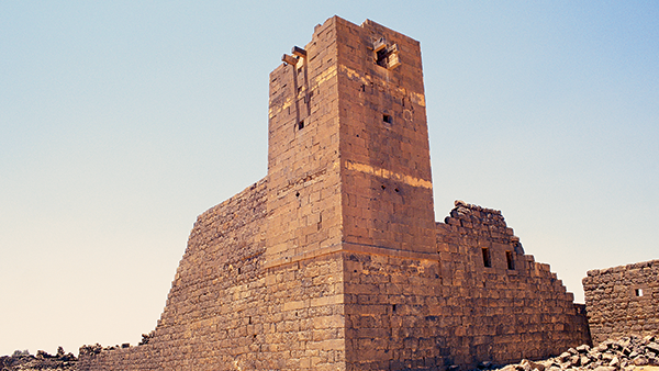 صورة 1